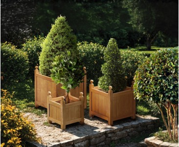 Teak Garden Versailles Planter Set - S, M & L