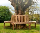 Teak Circular Tree Bench - 220cm