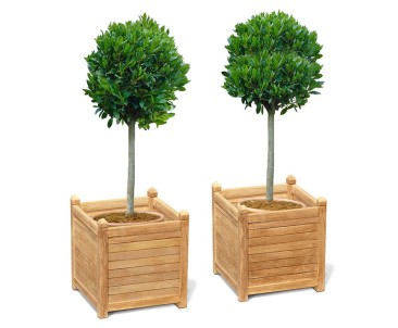 Set of 2 Zen Extra Large Garden Planters, Teak Wood