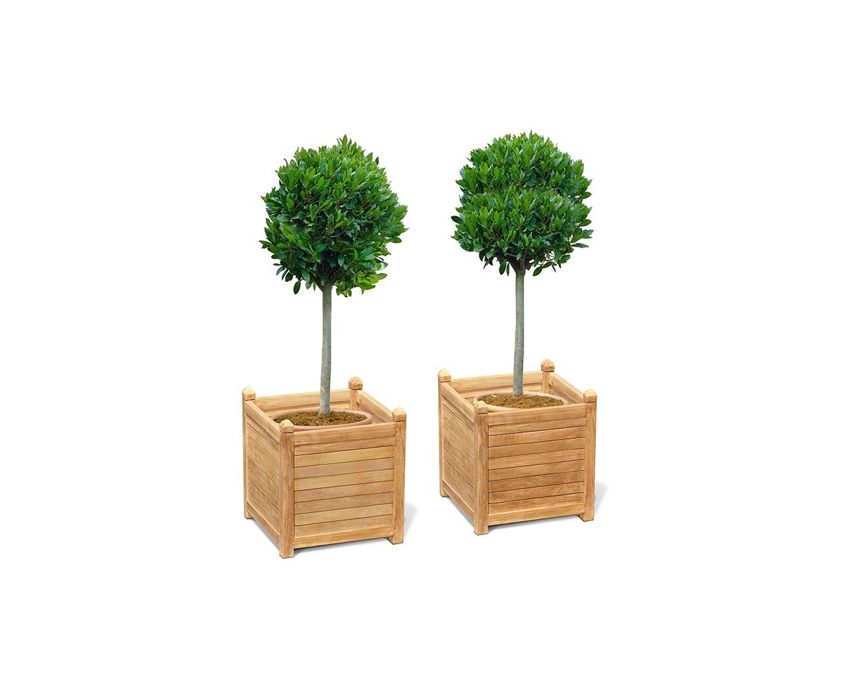 Set of 2 Zen Extra Large Garden Planters, Teak Wood