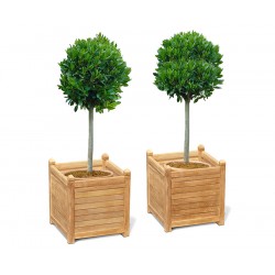 Set of 2 Zen Extra Large Garden Planters, Teak Wood
