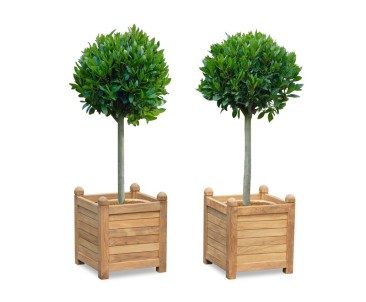 Set of 2 Zen Large Garden Planters, Teak Wood