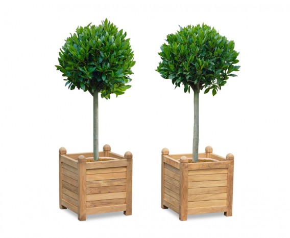 Set of 2 Zen Large Garden Planters, Teak Wood