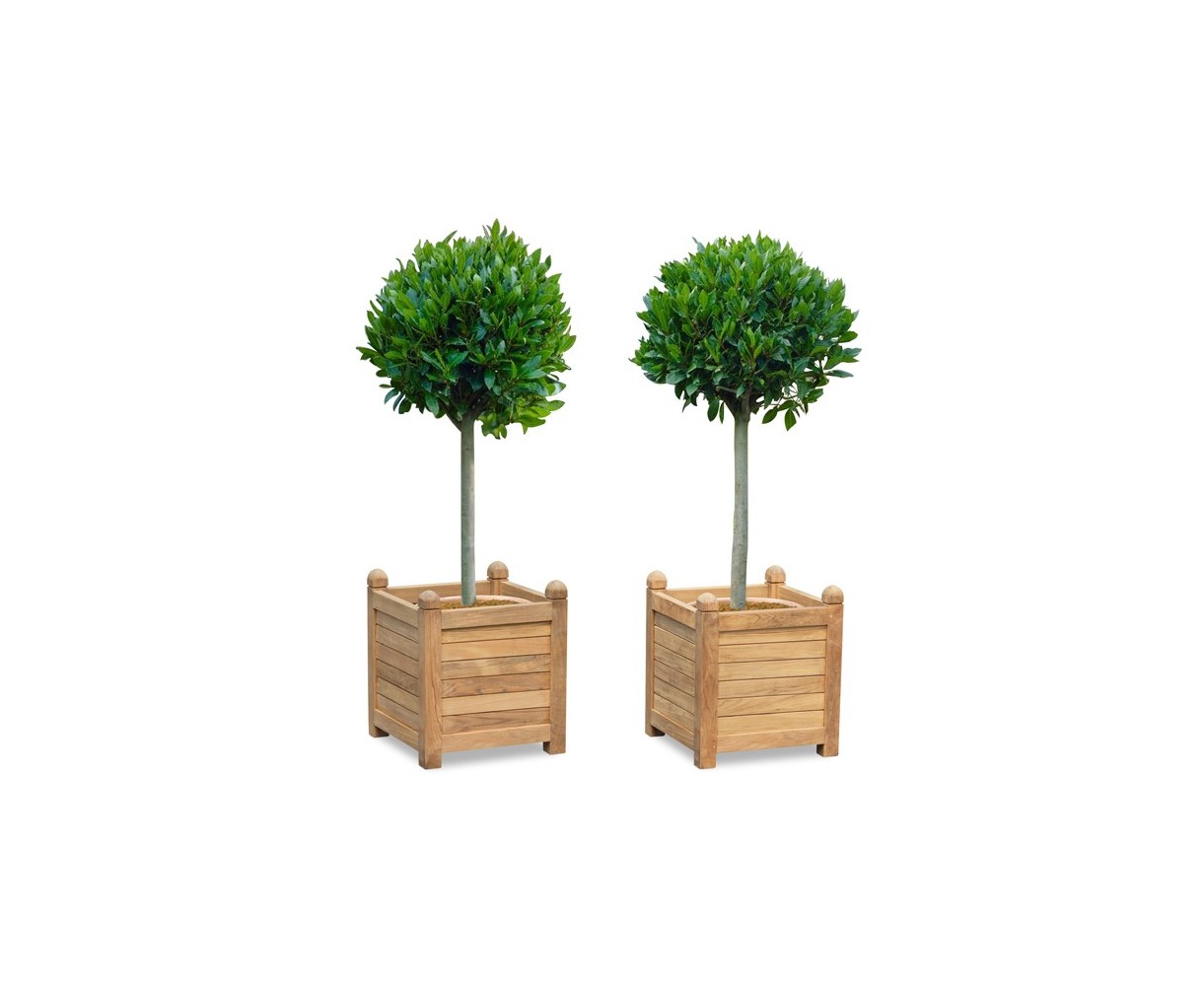 Set of 2 Zen Large Garden Planters, Teak Wood