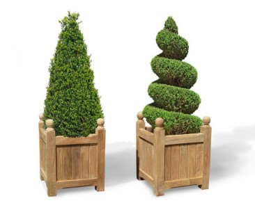 Square Garden Planters - Pair of Standard Versailles Planters