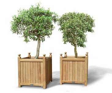 Pair of Extra Large Versailles Planter | Teak  Garden Wooden Planters
