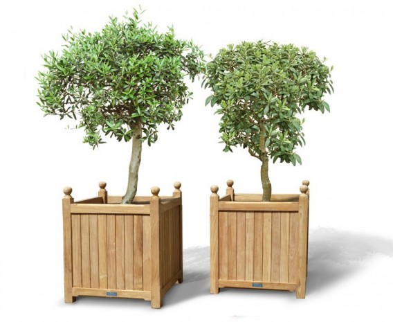 Pair of Extra Large Versailles Planters
