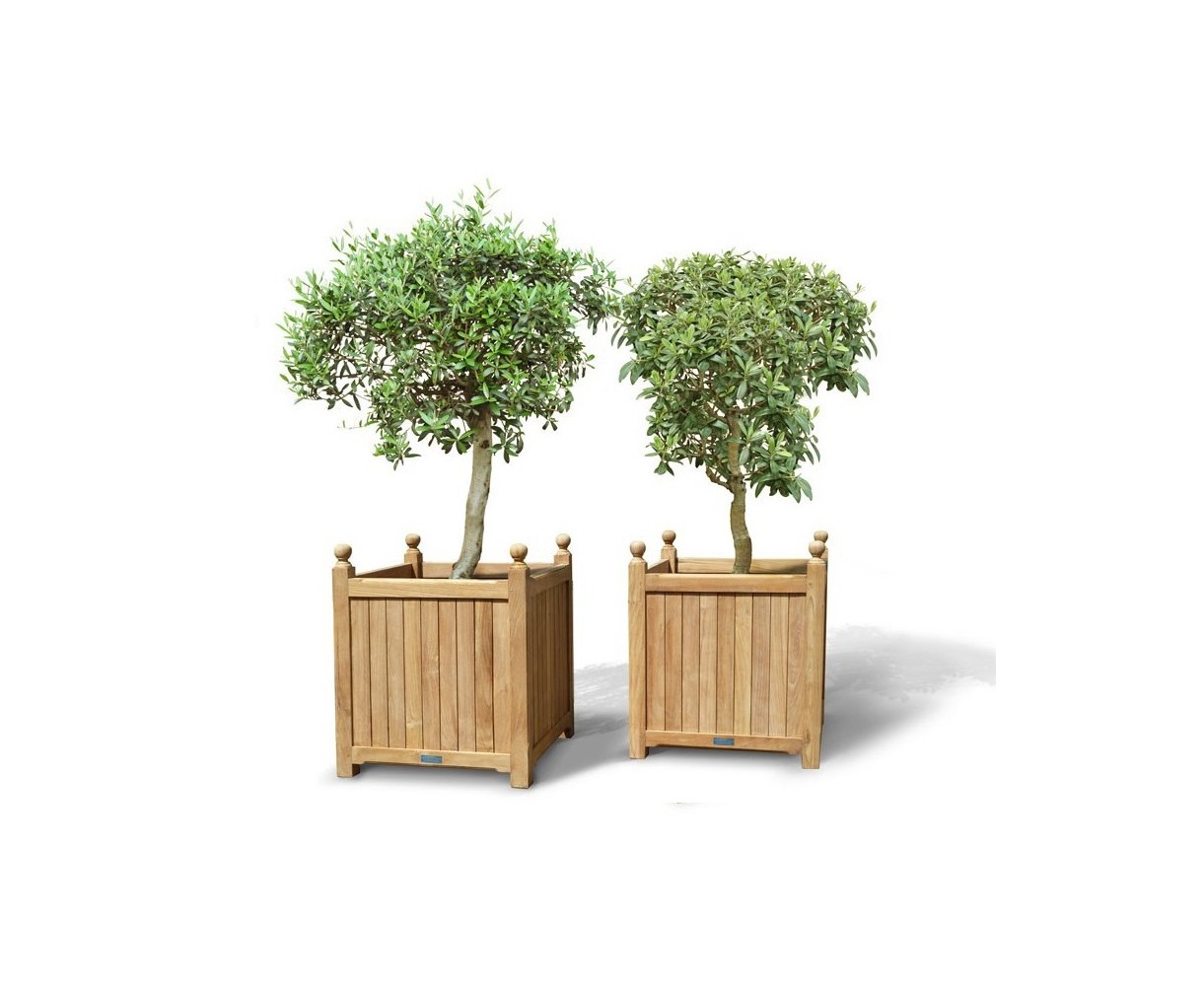 Pair of Extra Large Versailles Planter | Teak  Garden Wooden Planters