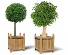 Pair of Large Wooden Versailles Planters