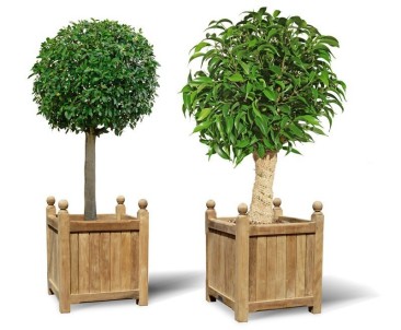 Pair of Large Wooden Versailles Planters - Garden Planters