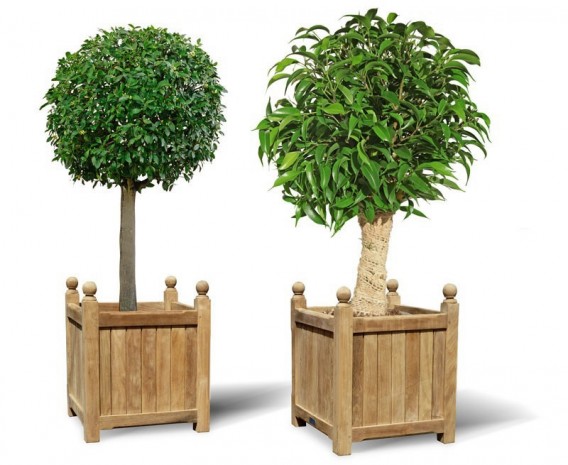 Pair of Large Wooden Versailles Planters