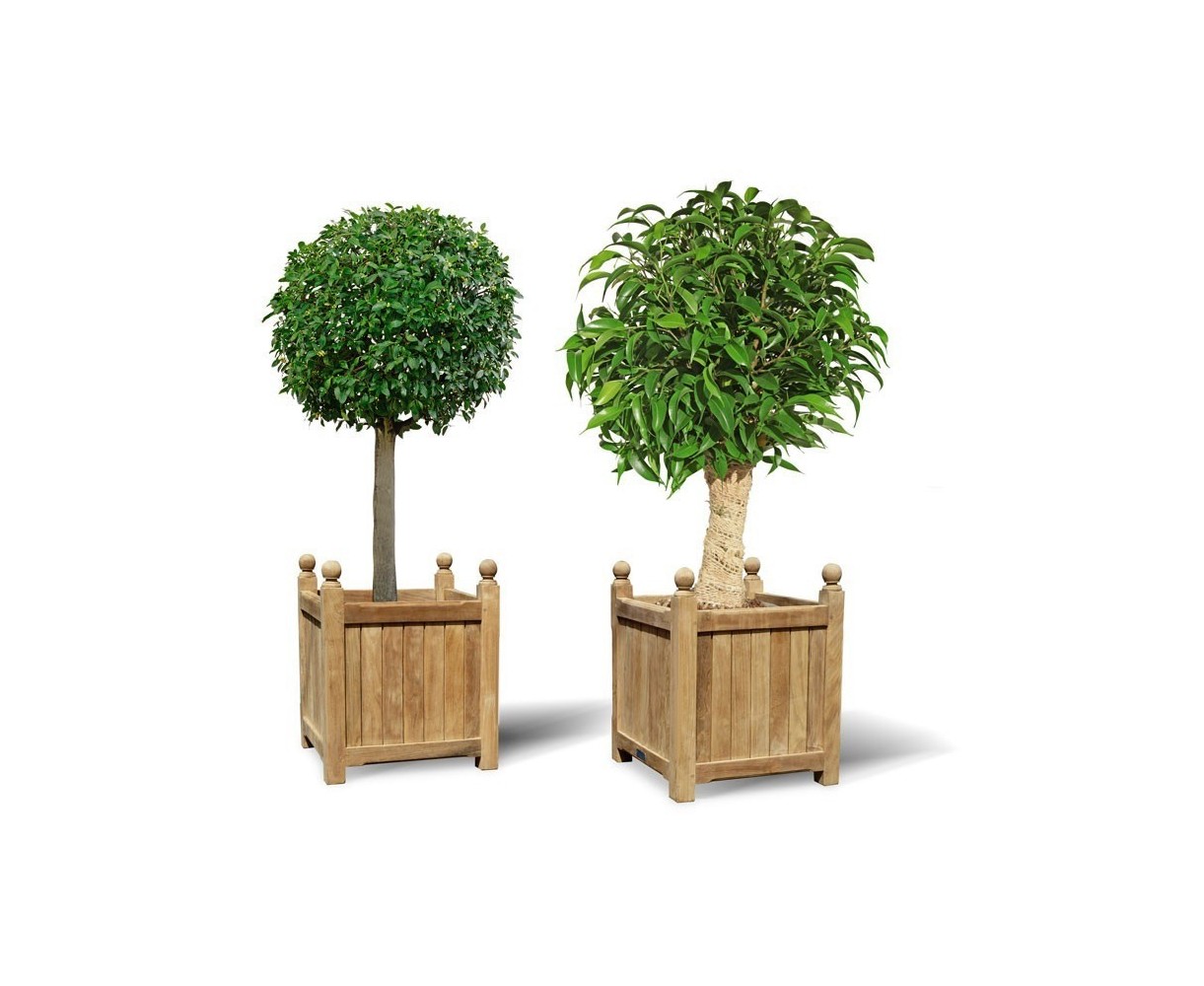Pair of Large Wooden Versailles Planters | Large Wooden Garden Planters