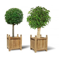 Pair of Large Wooden Versailles Planters | Large Wooden Garden