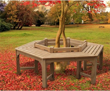 Teak Tree Seat Hexagonal - Low Back | Hexagonal Tree Bench