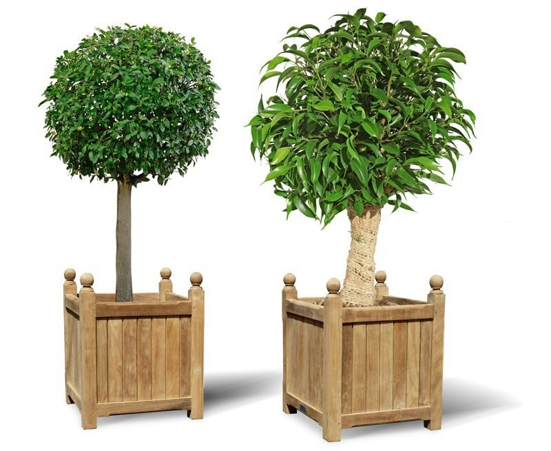 Garden Gifts
