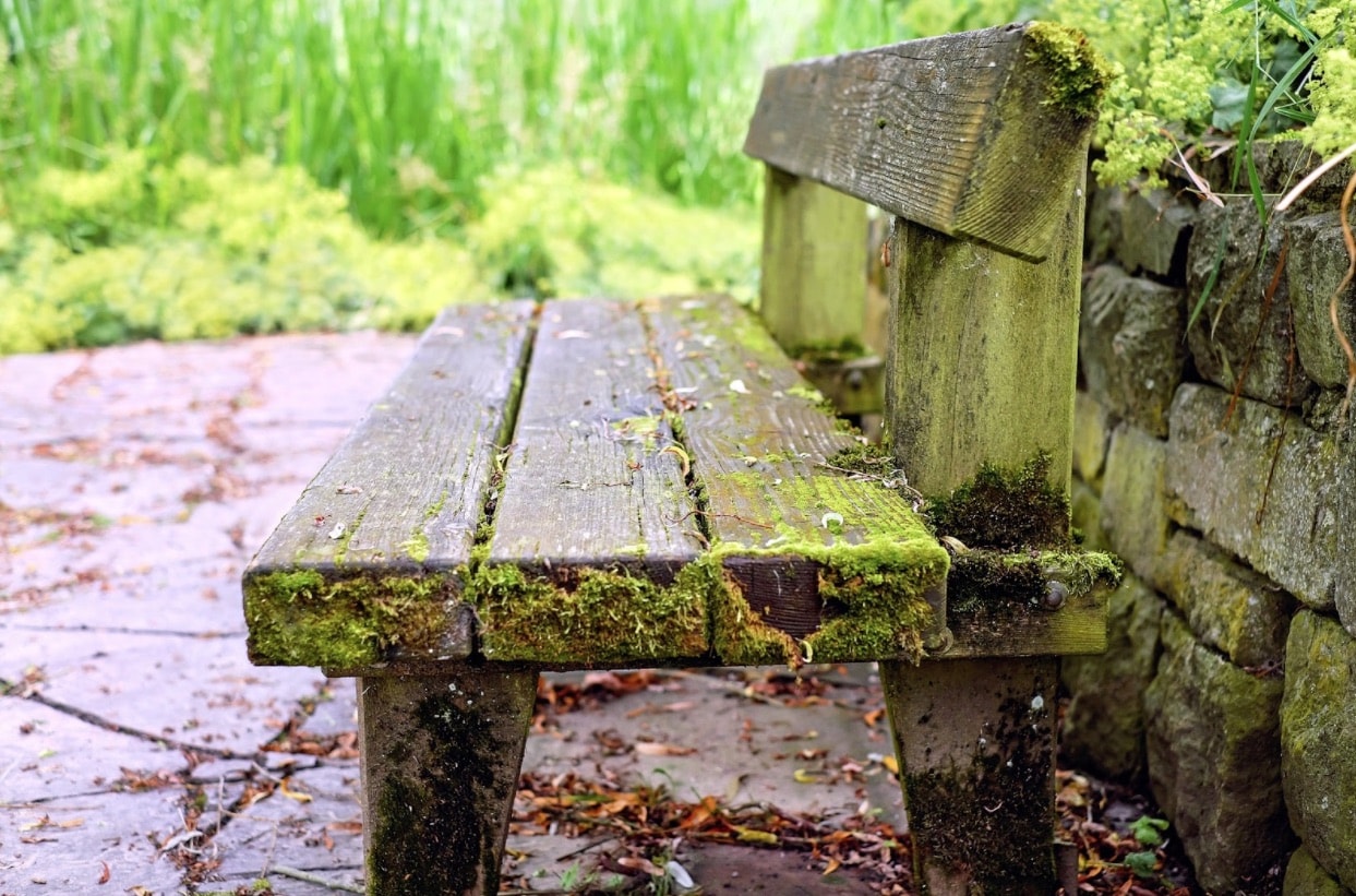 Teak bench