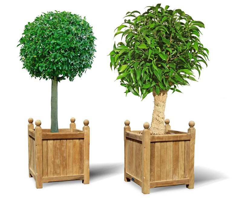 Christmas Teak Garden Planter